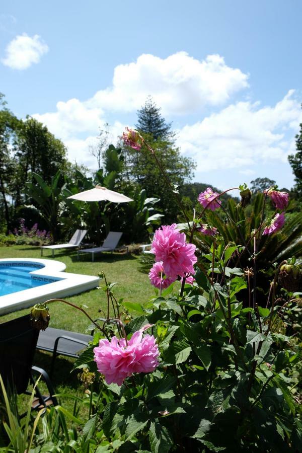 Pink House Azores Ponta Delgada Dış mekan fotoğraf